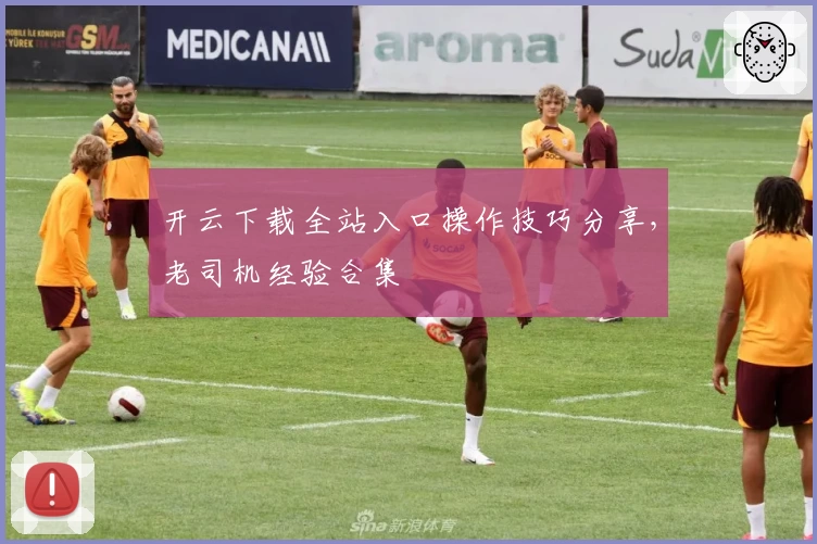 开云下载全站入口操作技巧分享，老司机经验合集