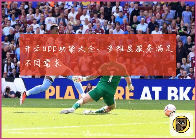 开云app功能大全,多维度服务满足不同需求