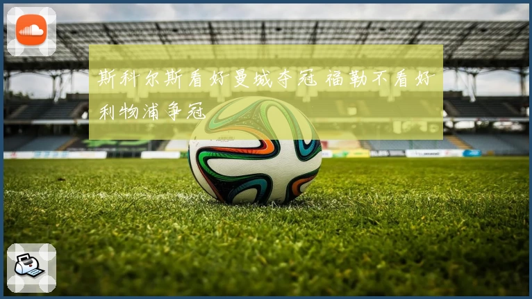 斯科尔斯看好曼城夺冠 福勒不看好利物浦争冠