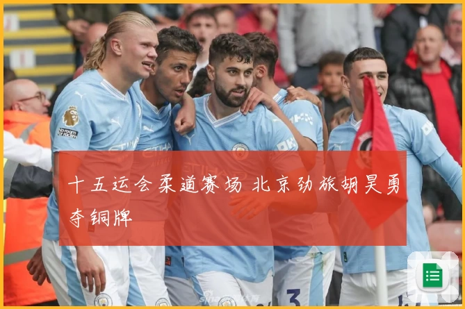 十五运会柔道赛场 北京劲旅胡昊勇夺铜牌