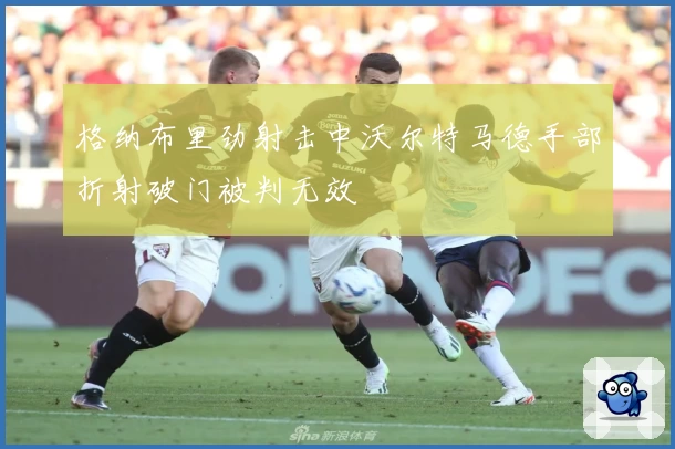格纳布里劲射击中沃尔特马德手部折射破门被判无效