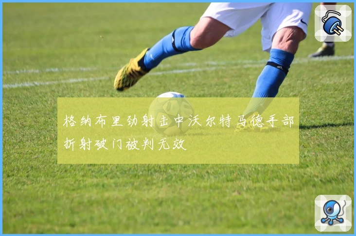格纳布里劲射击中沃尔特马德手部折射破门被判无效