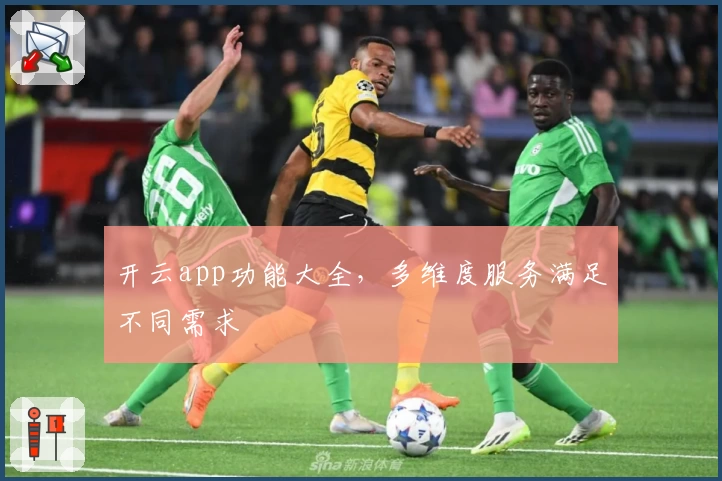开云app功能大全，多维度服务满足不同需求
